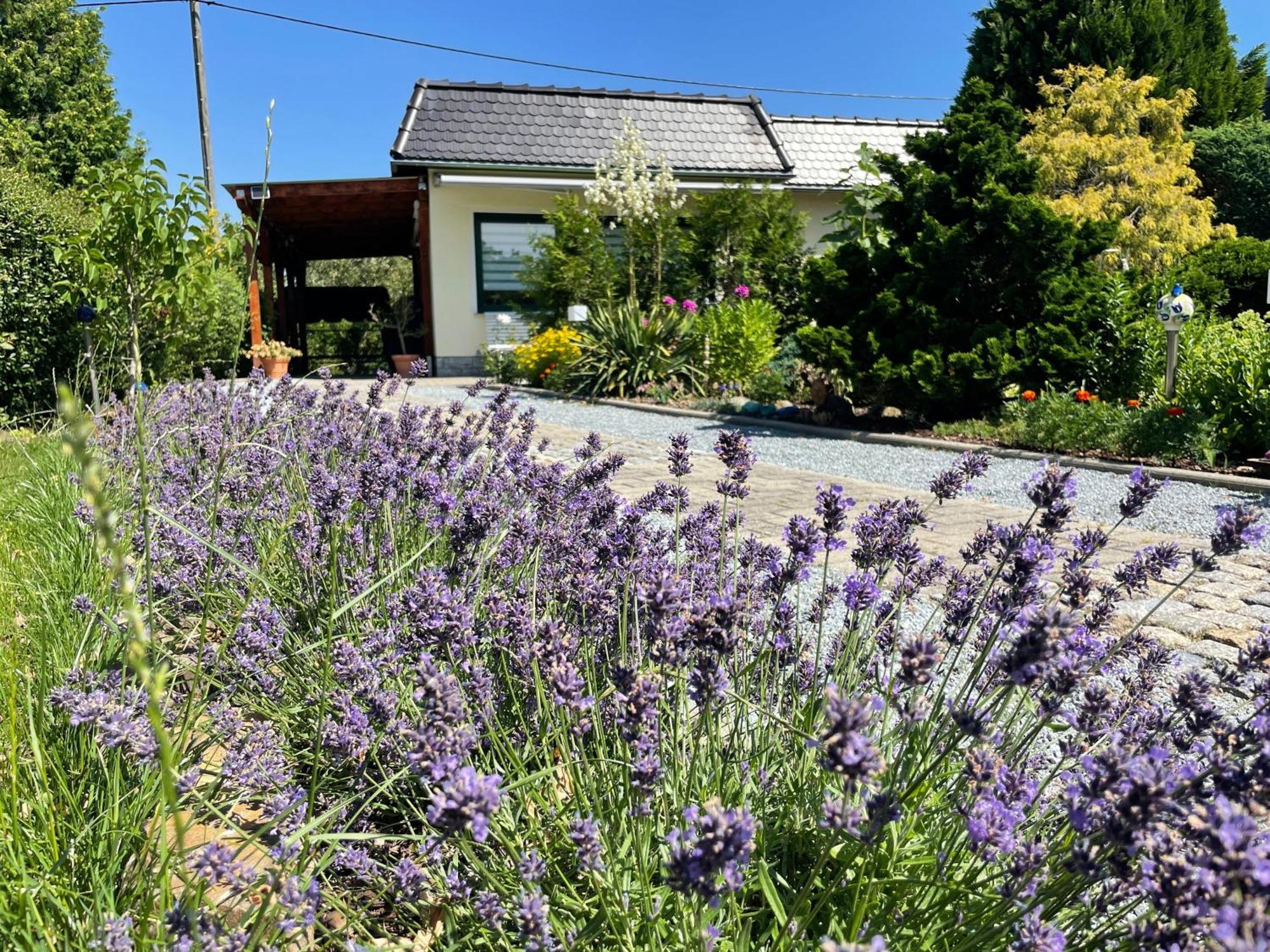Ferienhaus Amare Mit Fasssauna, Eigener Terrasse & Kamin Bautzen Luaran gambar